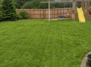 Patrick V.'s Lawn Maintenance service result