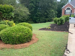 Gwen G.'s Lawn Service service result