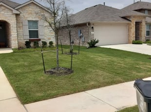 Taylor R.'s Lawn Care service result