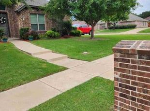 Barbara A.'s Lawn Mowing Service service result