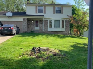 Michael R.'s Lawn Service service result