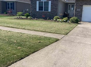 Robin S.'s Grass Cutting service result