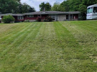 Jason M.'s Grass Cutting service result
