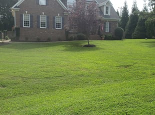 Johnetta L.'s Lawn Service service result