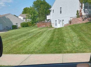 Tamars W.'s Lawn Care service result