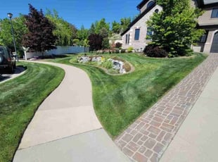 Terry W.'s Lawn Care service result