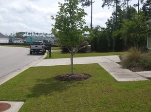 Victor V.'s Lawn Service service result