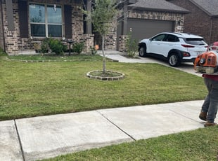 Tracie D.'s Lawn Maintenance service result