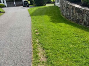 JAMES W.'s Lawn Service service result
