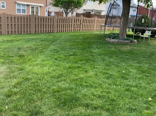 Basma P.'s Lawn Care service result
