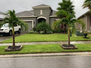 Birgetta H.'s Yard Cutting service result