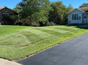 James R.'s Lawn Mowing service result