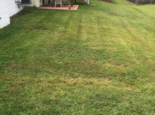 Bill M.'s Lawn Mowing Service service result