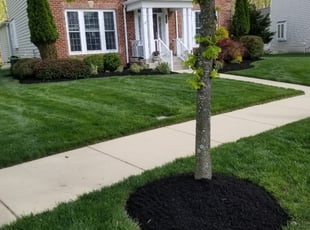 Gerald R.'s Grass Cutting service result