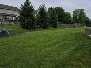Valerie P.'s Yard Cutting service result