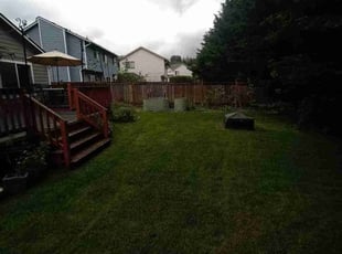 Therese C.'s Lawn Care service result