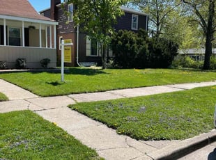 Steve V.'s Lawn Care service result