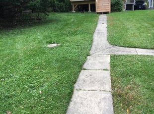 Todd L.'s Lawn Mowing service result