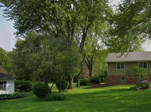 Dave S.'s Grass Cutting service result