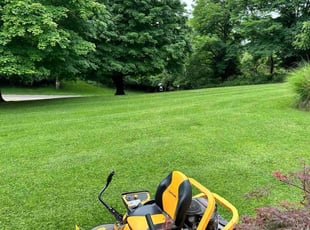 Asia M.'s Yard Cutting service result