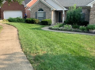 Darrel M.'s Lawn Service service result