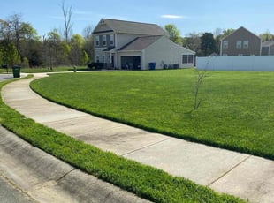 William T.'s Lawn Care service result