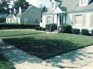 Samantha W.'s Lawn Mowing service result