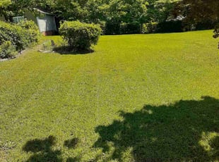 Kevin H.'s Grass Cutting service result