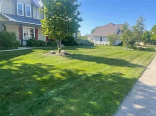 Tina C.'s Lawn Care service result
