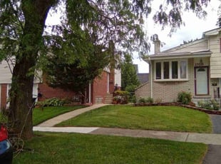 Carol D.'s Lawn Care service result