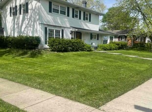 Jerome T.'s Lawn Mowing service result