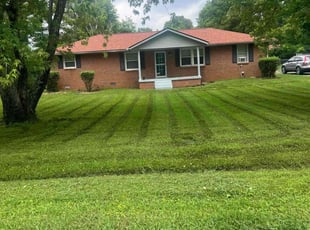 Jimmy S.'s Lawn Care service result