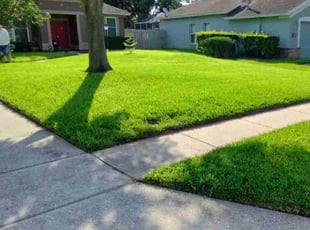 Heather E.'s Lawn Care service result