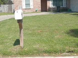 Diane H.'s Grass Cutting service result