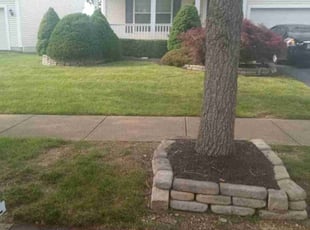 Daniel S.'s Yard Cutting service result
