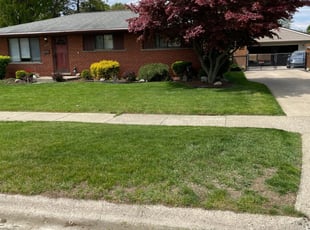 Larry H.'s Lawn Mowing service result