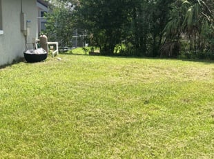 Reynaldo C.'s Yard Cutting service result
