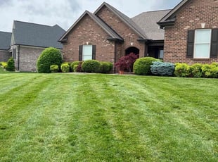 Jamie G.'s Lawn Mowing service result