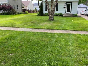 Dennis V.'s Yard Cutting service result