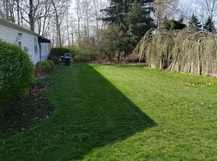 Rakesh B.'s Lawn Service service result