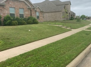 Arthurine W.'s Lawn Care service result
