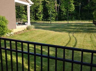 Cheryl C.'s Yard Cutting service result