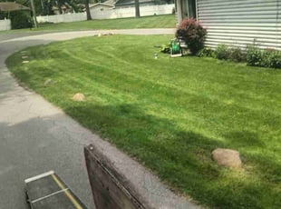 Lydia S.'s Lawn Mowing Service service result