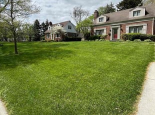 Christina C.'s Yard Cutting service result