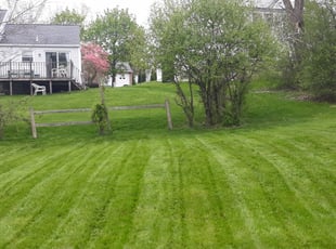 Frank D.'s Lawn Service service result
