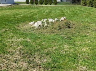 Michael C.'s Yard Cutting service result