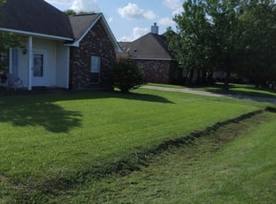 Michelle T.'s Lawn Mowing service result