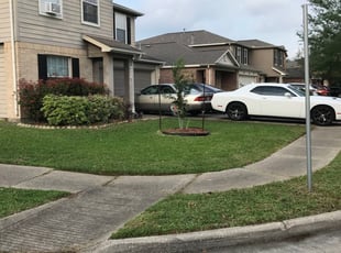 Jennifer R.'s Yard Cutting service result