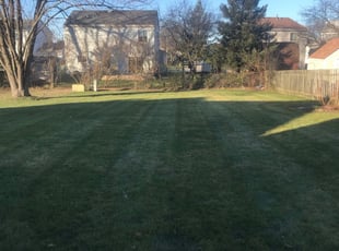 Jonathan T.'s Lawn Service service result