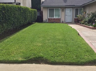 Carla B.'s Lawn Service service result